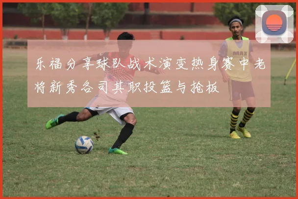 乐福分享球队战术演变热身赛中老将新秀各司其职投篮与抢板