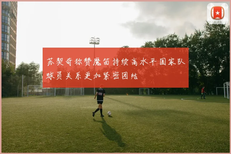 苏契奇称赞魔笛持续高水平国家队球员关系更加紧密团结